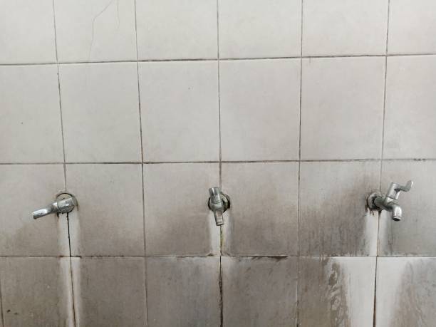 Best Flood damage cleanup  in Bluffton, SC