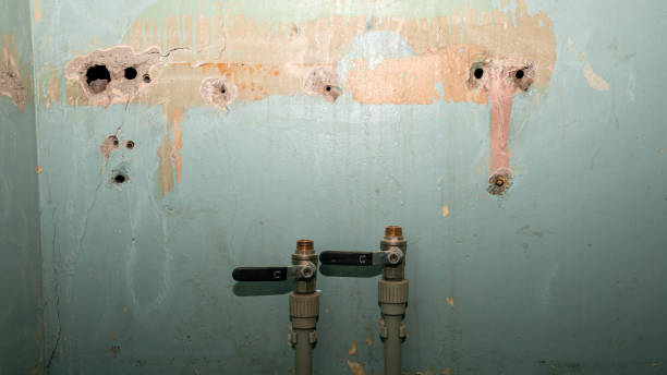 Best Fire Damage Restoration  in Bluffton, SC