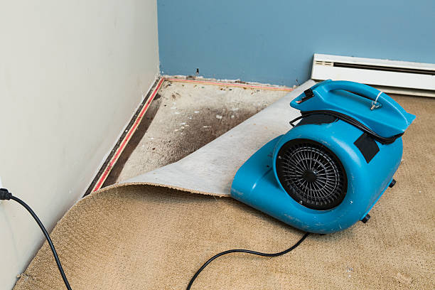 Best Sewage cleanup and water damage restoration  in Bluffton, SC